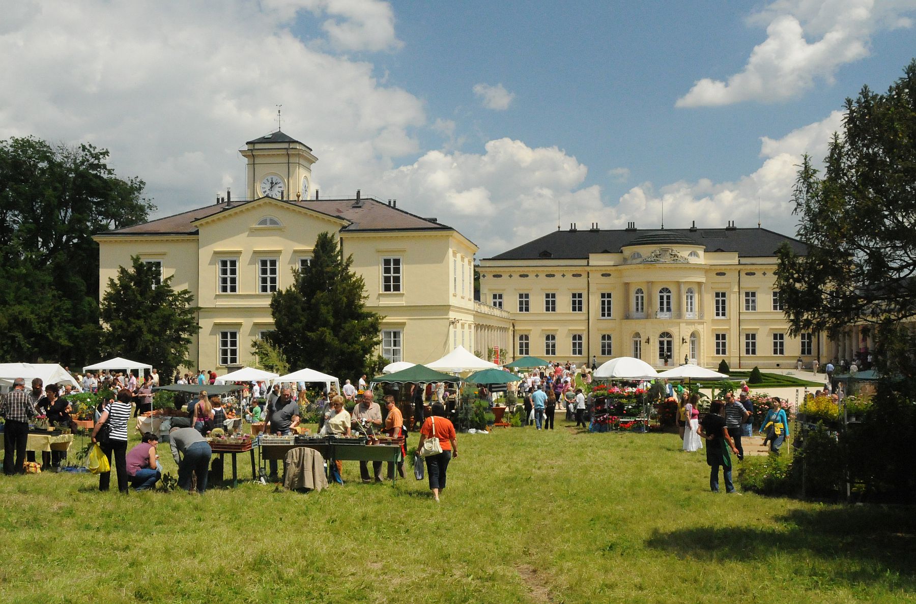 Középpontban az erdő és a víz - 17. Európai Dísznövény és Kertművészeti Napok